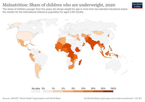 Global Malnutrition: Everything You Need to Know! - Media - HashCash Consultants
