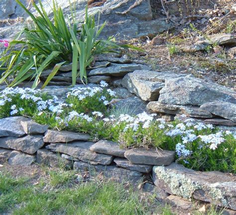 Types Of Flat Landscaping Rocks at Olga Rayford blog