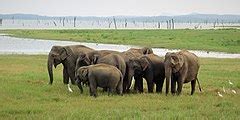 Image result for Java Visualization