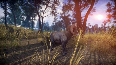 Lightning Fast Game 的图像结果