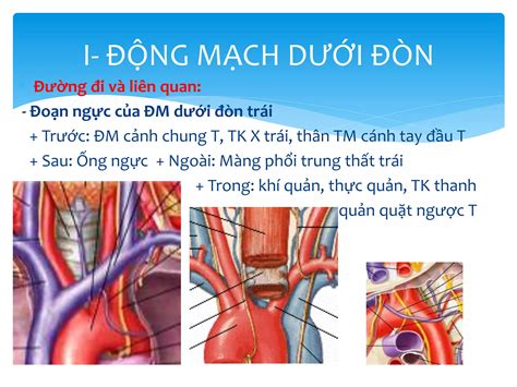Image result for HTML Tutorial Exercise