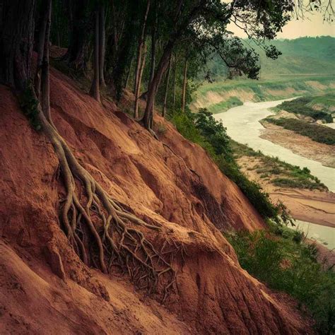 Soil Erosion-Definition, Types, Factors Affecting, Losses, Conservation Practices