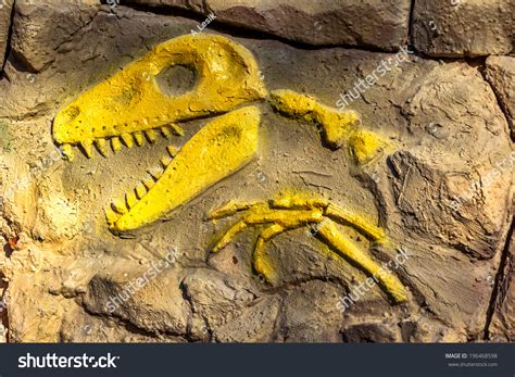 Dinosaur Fossils In Spanish at Jonathan Landseer blog