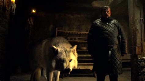 Game Of Thrones Ghost Direwolf