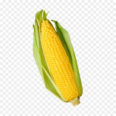 Corn Isolated Transparent Png - Pngsource