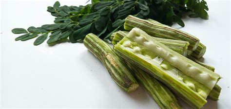 Healthy green vegan super food- Fresh harvested organic Moringa ...