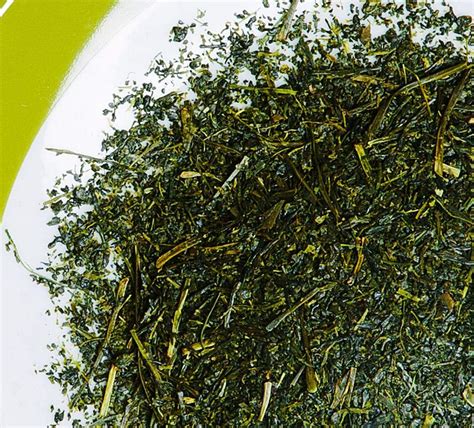Buy High Grade-Crude Japanese Green Tea (Tea Bags) 🍵 Online ...