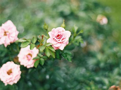 Image result for Homemaking Tips