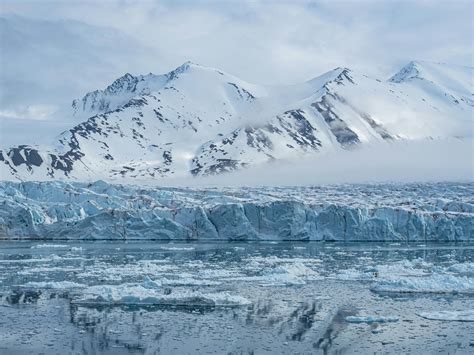 Nature Slideshow 的图像结果