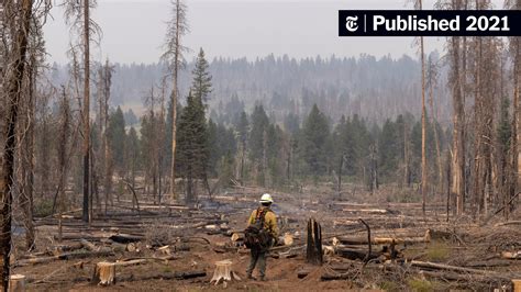 Image result for Bootleg Fire Interactive Map