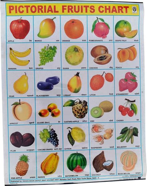 A Combo Of THREE Beautiful Pictorial WALL CHART Of Vegetables,fruits ...