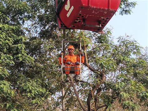 Pavagadh Ropeway NDRF Mock Drill: Disaster Response Readiness Tested