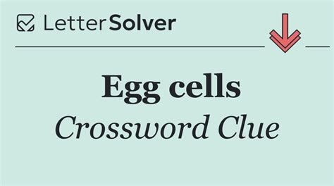 Egg cells Crossword Clue Answers