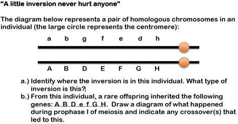 Image result for Inversion Loop Genetics