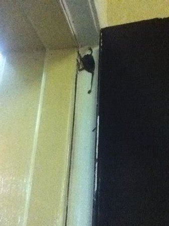 PARKSIDE INN (Jackson) - Inn Reviews & Photos - Tripadvisor