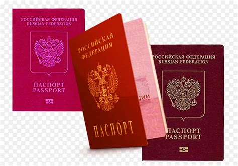 俄罗斯签证样本