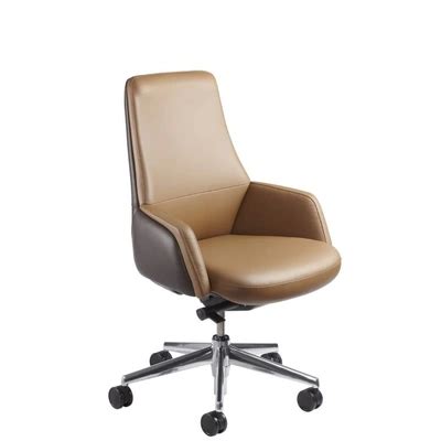 Elevate Comfort and Style with the Mid Back Café Chair (CH-2) by Polo ...