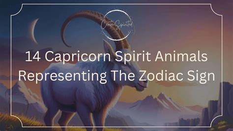 7 Sagittarius Spirit Animals Representing This Zodiac