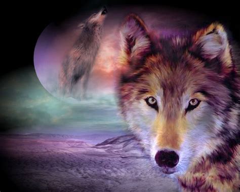 Cool Wolf Pictures - All Wallpapers New