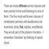 explain any five categories of existing plants and animals with example ...