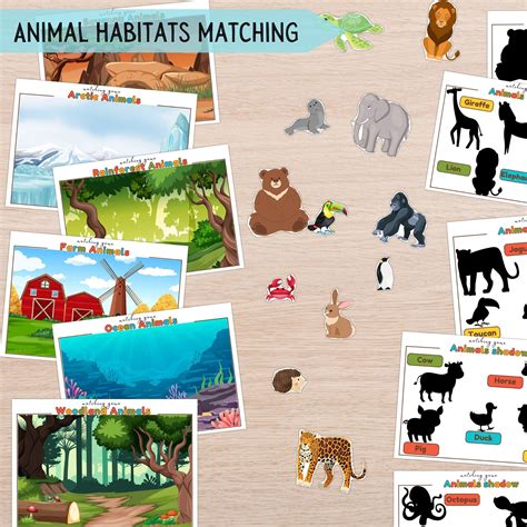 Printable Pictures Of Animals And Their Habitats For Kids