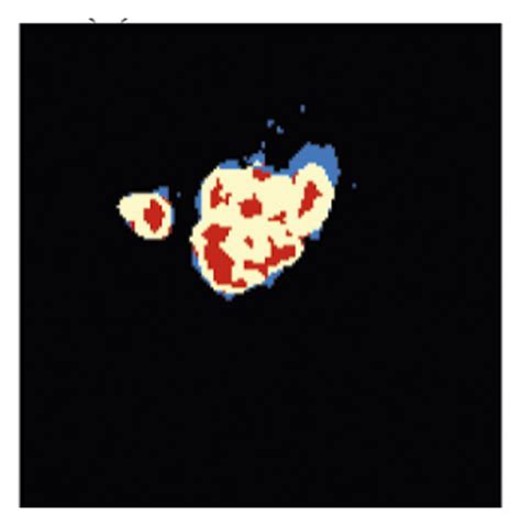 Image result for Complex Onsets Feature Geometry