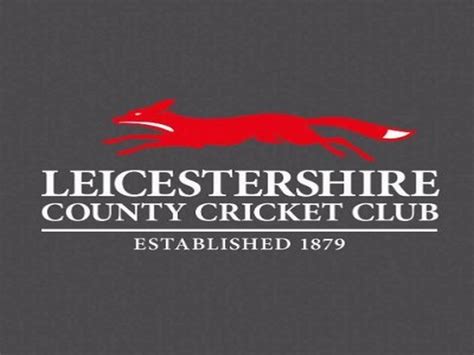 Leicestershire cricket club signs Rishi Patel from Essex-ANI - BW ...