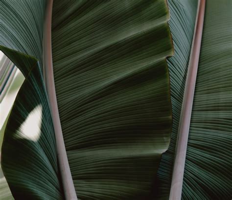 The Importance of Good Digital Advertising – That Works Media India