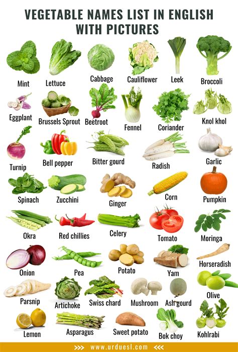 Vegetable Names in English with Pictures - Download Pdf | Name of ...