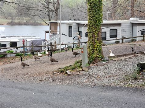 Lake Myers RV and Camping Resort - Pictures, Features & Amenities ...
