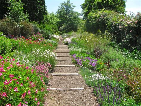 Create a Beautiful Indigenous Garden: Design & Planting Guide