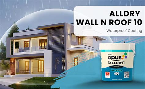Birla Opus Alldry Wall N Roof 10 Waterproof Coating (4L, White Colour ...