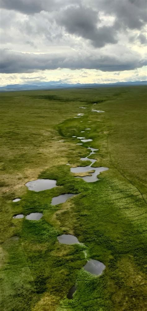 How Geotags Help Map, 'Ground-Truth,' and Empower Co-Stewardship | U.S ...