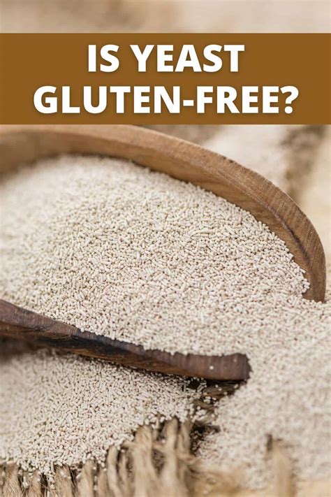 Is Yeast Gluten-Free? (It Depends!) - Meaningful Eats