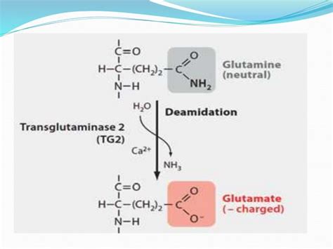 Post-Translational DNA Modification 的图像结果