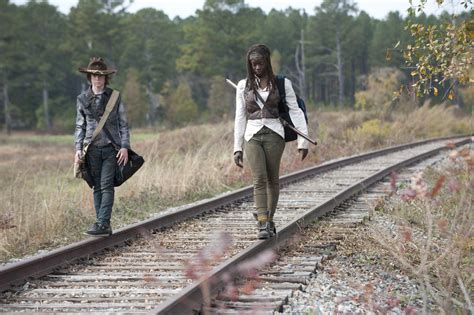 Carl Grimes & Michonne HD Wallpaper | The Walking Dead TV Show Moments