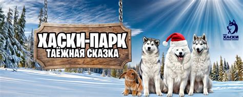 Хаски-Парк «Таёжная Сказка» филиал Красное поле | Хаски-парк "Таежная ...