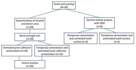 Effect of Temporary Cement, Surface Pretreatment and Tooth Area on the ...