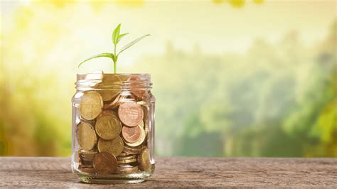 Projective Identification 的图像结果