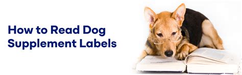 How to Read Dog Supplement Labels by K9 Vitality