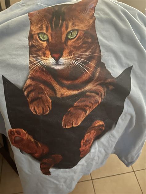 Bengal Bjorn! : r/bengalcats