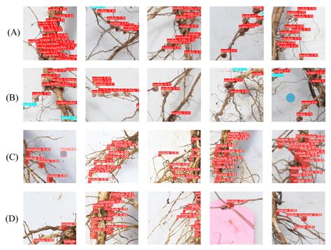 An Efficient and Low-Cost Deep Learning-Based Method for Counting and ...