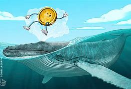 only whales move doge