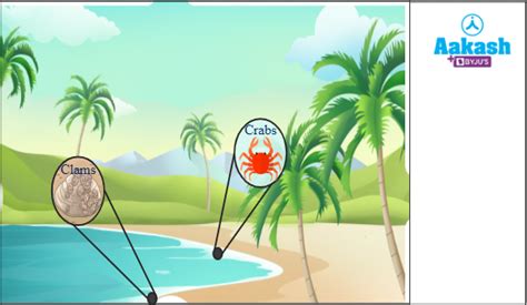 Biotic and Abiotic Factors in Biology: Definition, Types and Importance ...