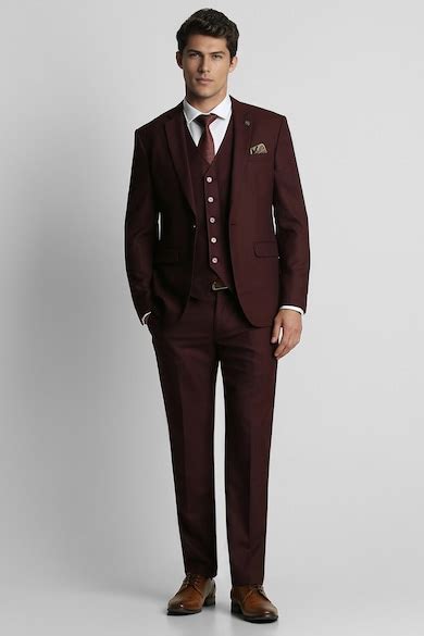 Buy Men Maroon Solid Wedding Three Piece Suit Online - 715826 | Peter ...