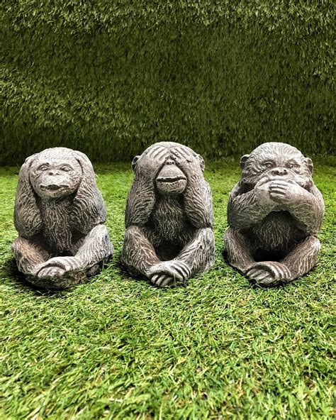 Define Patio Monkey at Melvin Elrod blog