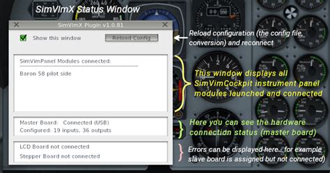 Simvim Tutorial 的图像结果