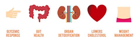 Tri Fibre Description – Steadfast Nutrition