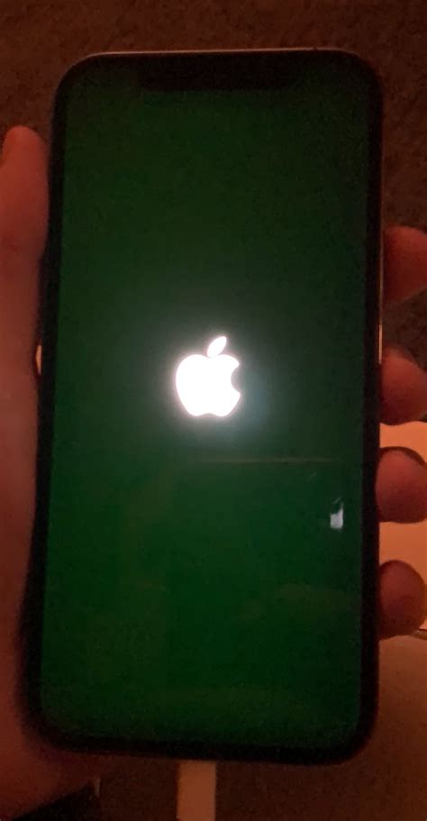 Apple to Fix iPhone 12 Green Tint Problem with iOS Update - Softpedia