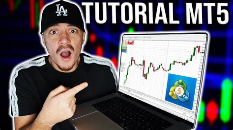 Image result for Meta5trading Tutorial